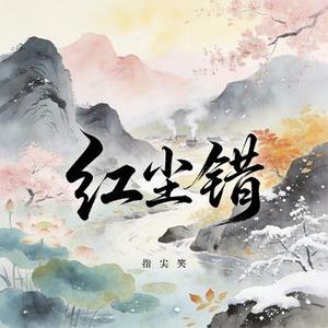 红尘错 (DJ鹏版)