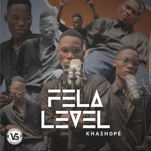 Fela Level
