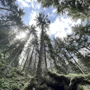 3:14 (2023 Remastered Version)