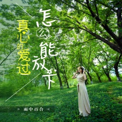 真心的爱过怎么能放下