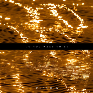 玩家（instrumental）