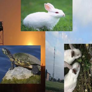 Greylltwosadpop（prod.jellyyy）