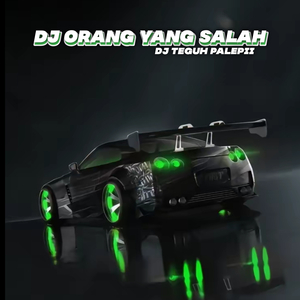 DJ Orang Yang Salah (DJ Teguh Palepii)