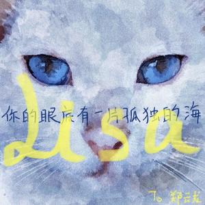 你的眼底有一片孤独的海