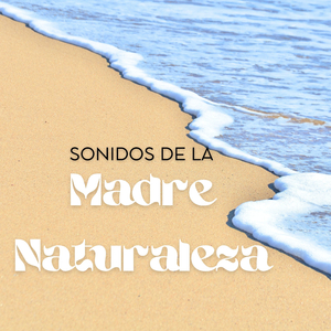 Amanecer en el bosque