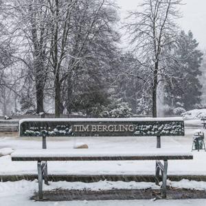 "park bench" YUNG SHERMAN bladee (RIP AVICII) remix