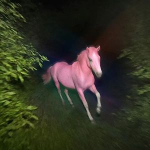 别离开我（你在哪里）