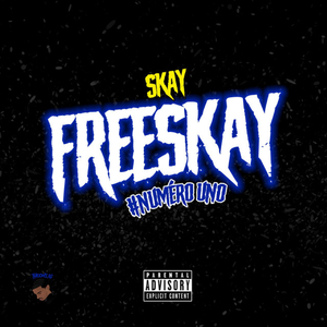 FREESKAY #1