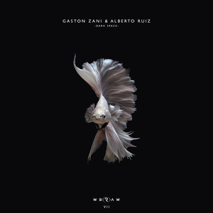 Dark Space (Original Mix)