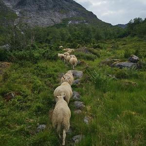 Vårens eventyr