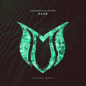 Raise (Original Mix)