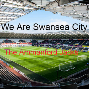 We Are Swansea City