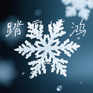 踏雪惊鸿