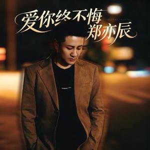 爱你终不悔