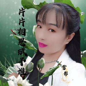 片片相思赋予谁