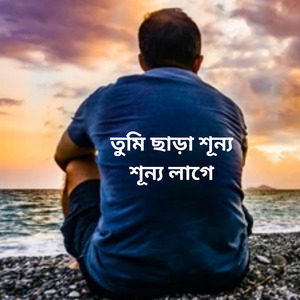 তুমি ছাড়া শূন্য শূন্য লাগে
