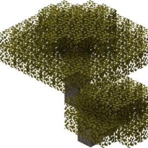 smokin on acacia (rosa)