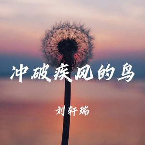 冲破疾风的鸟 (DJ版)