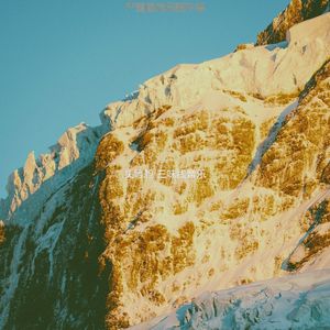 抚慰的回春回忆