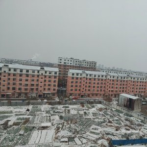 被世界征服的明天