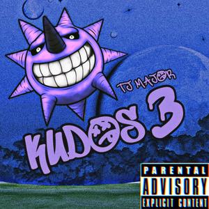 Kudos 3