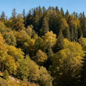 从今以后我只为自己活