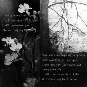 雨霖铃 寒蝉凄切