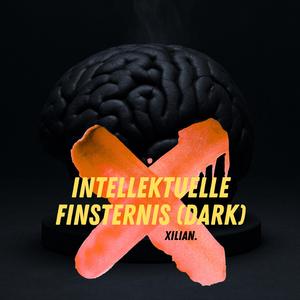Intellektuelle Finsternis (Dark)