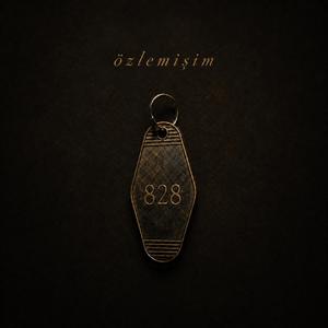 ÖZLEMİŞİM