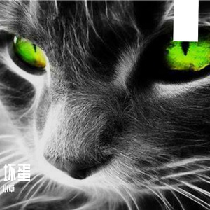 黑瓦白墙间岁月静好美