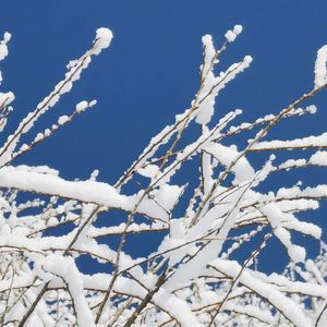 雪落在人间了 (23)
