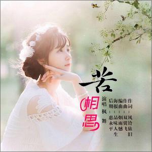 苦相思（枫舞缺女声 鬼步舞曲）