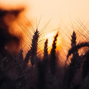 你会爱我到什么时候