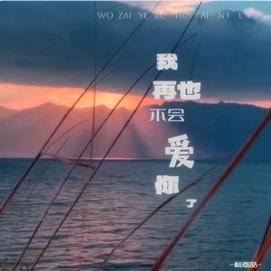 我再也不会爱你了