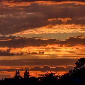 Avenir (feat. Nectro)