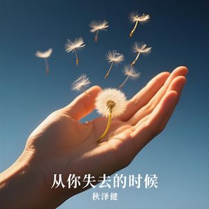 从你失去的时候