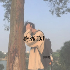 泰式电摆动感旋律 (DJ版)