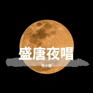 盛唐夜唱（小少年儿）