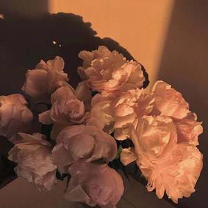 Fall in Love（prod.By Xiangyue）