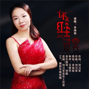 你是我红尘的过客 (DJ伟然版)