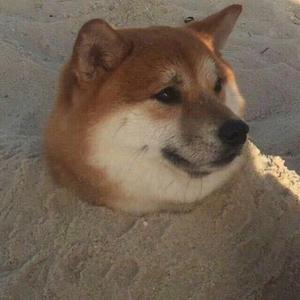 烟雨石桥下的思念与守望