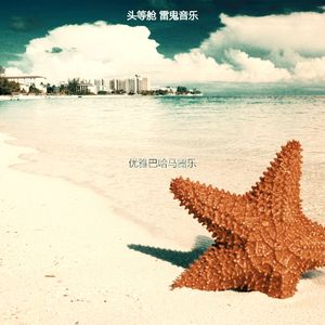 优美巴哈马器乐