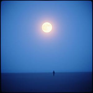 दिल की खामोशी by @turbulentoctaves1296