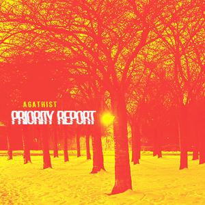 Priority Report