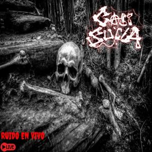 narcocracia (Live)