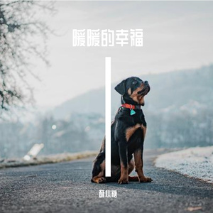 暖暖的幸福-整曲 伴奏