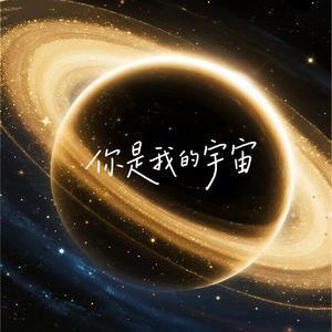 你是我的宇宙