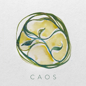 Caos