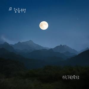 月光下的牵挂