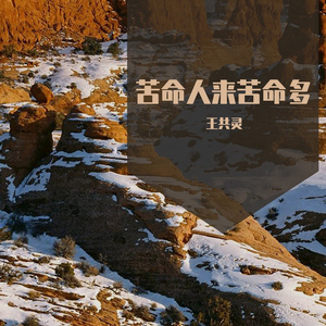 现实社会看人心
